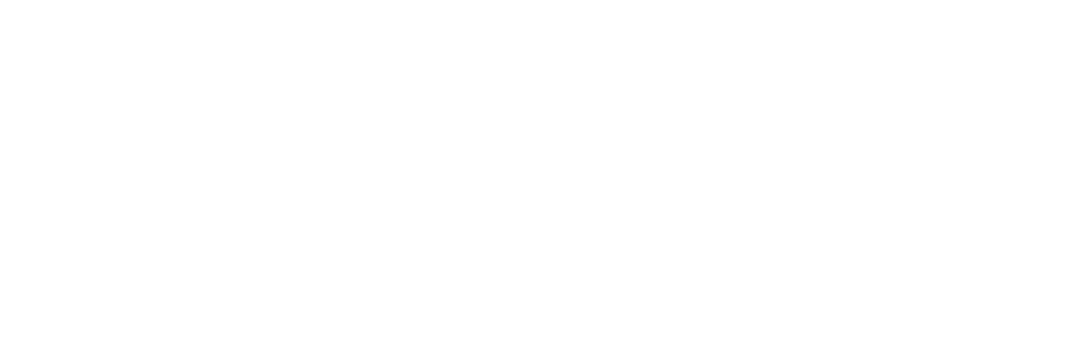 logo ies